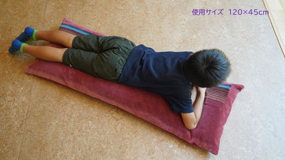 おうちでゆるっとメトロ(東西線・半蔵門線)